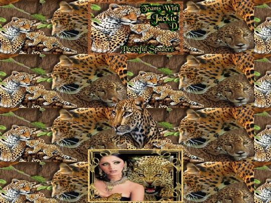 Summer/002025mAUG26TMSLeopard screenshot