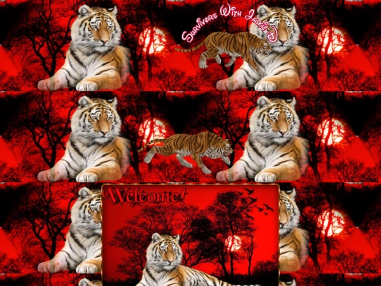 Summer/002025mAUG28SUVTiger screenshot
