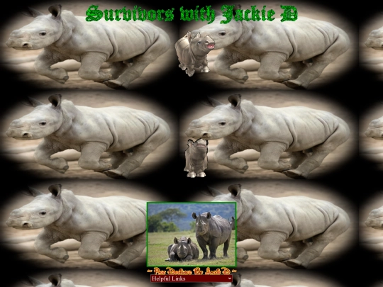 Winter/00000000Mar4SUVBabyRhino screenshot