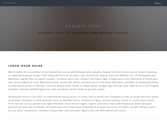 Plantilla/generic screenshot