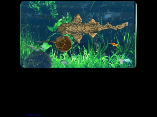 aquarium screenshot