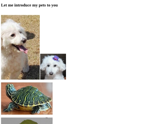 my pet screenshot