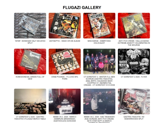 gallery screenshot