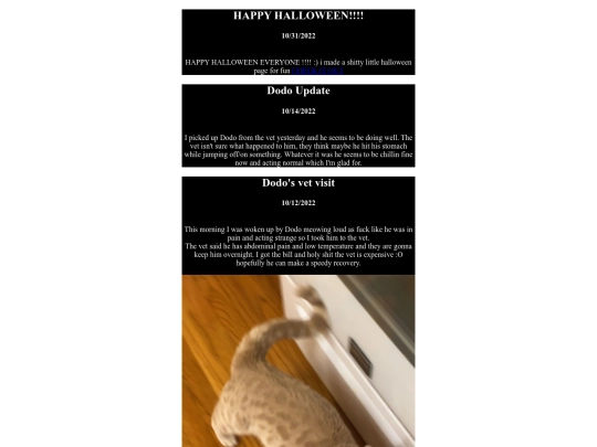 blog/blog screenshot