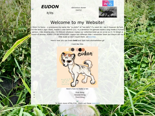 eudon screenshot