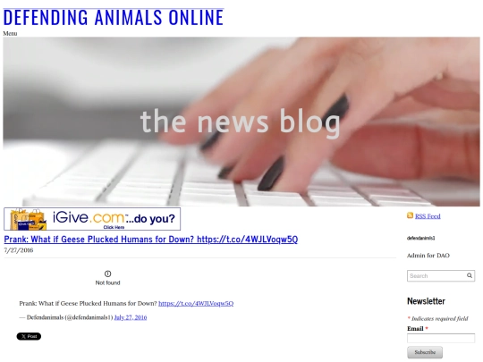 www.defendanimals.net/mainnewsblog/prank-what-if-geese-plucked-humans-for-down-httpstco4wjlvoqw5q screenshot