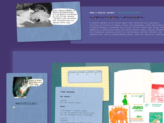 media screenshot