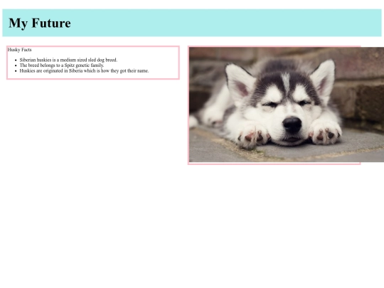 revision1 screenshot