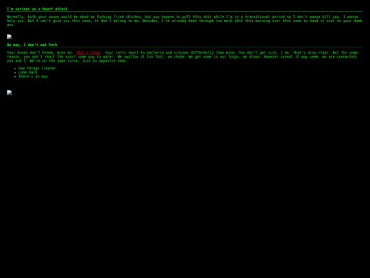 shows/PAGECODE screenshot