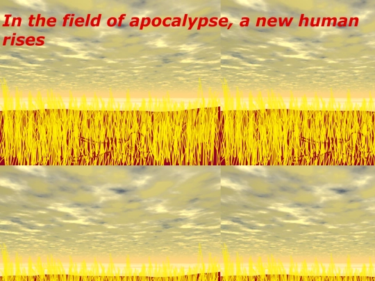 field screenshot