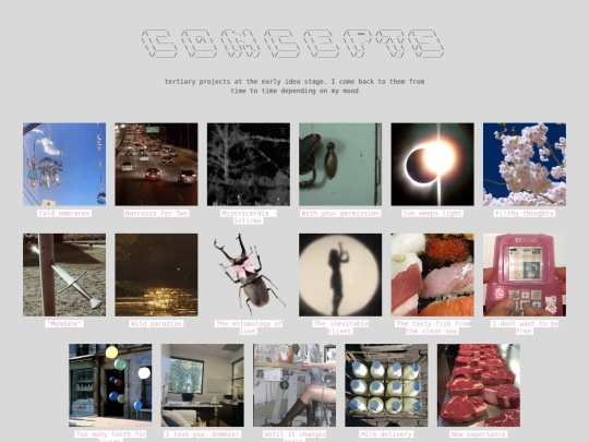 projects/concepts screenshot