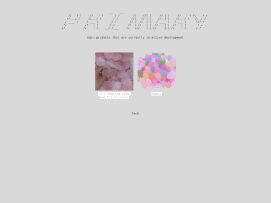 projects/primary screenshot