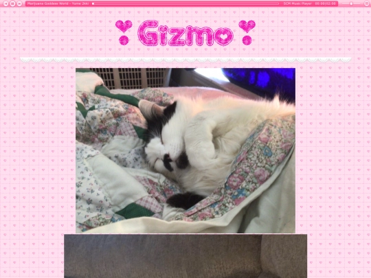gizmo screenshot
