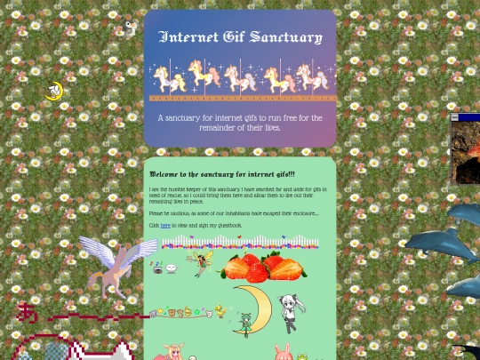 website_class screenshot