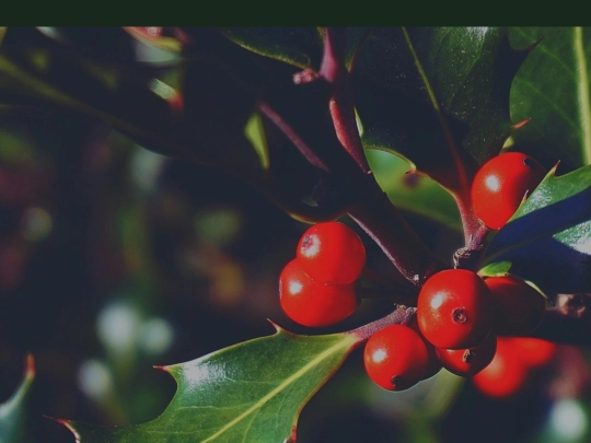test screenshot