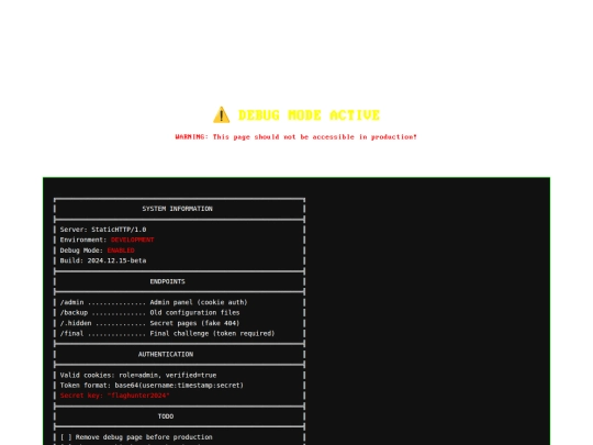 ctf/api/debug screenshot