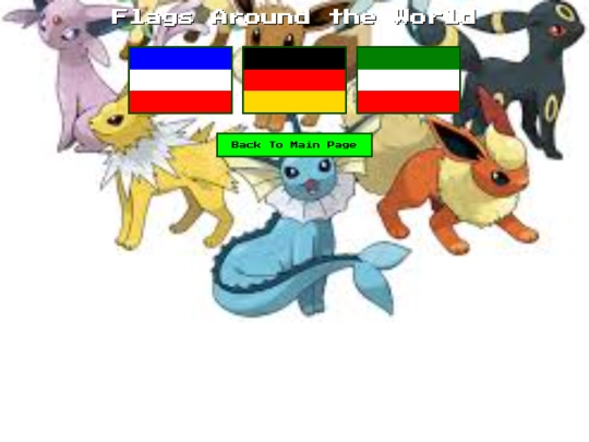 flag screenshot