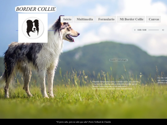 TareaHTML5/multimedia screenshot