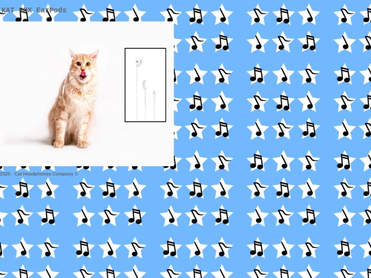 P4 screenshot