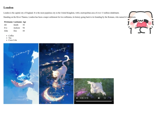 D1/css screenshot