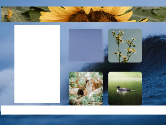 IrisElise screenshot