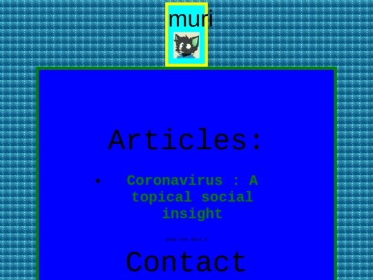 punkz/muri/profile screenshot