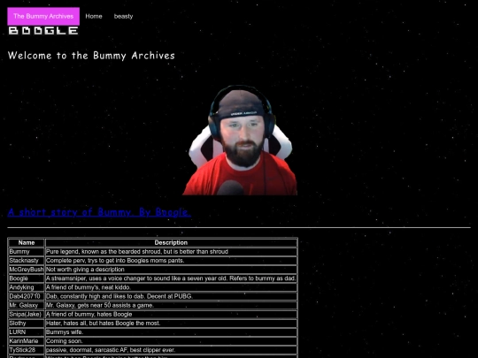 the-bummy-archives screenshot