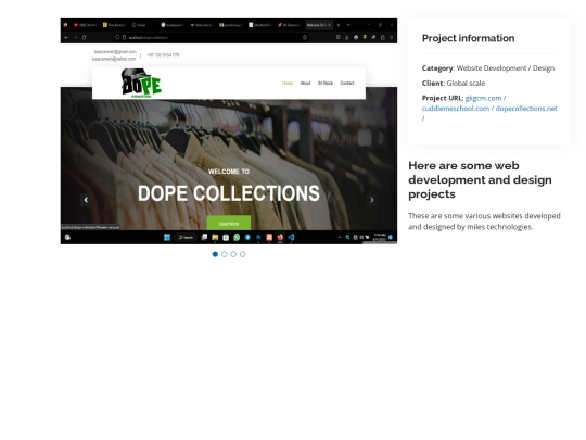 project-details-website screenshot