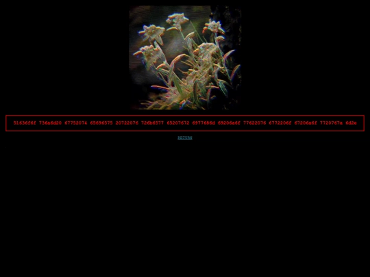 edelweiss screenshot
