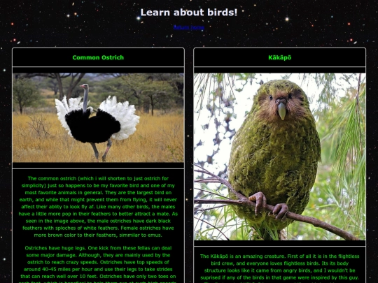 birds screenshot