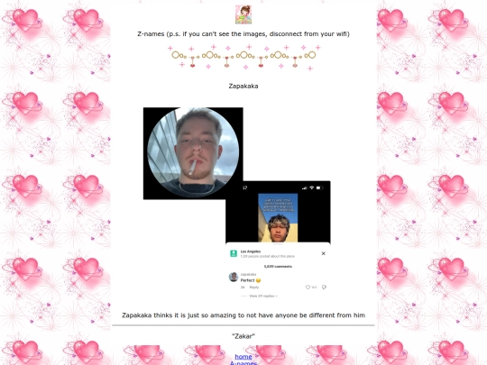 z screenshot