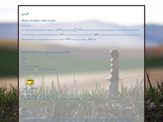 arabic screenshot