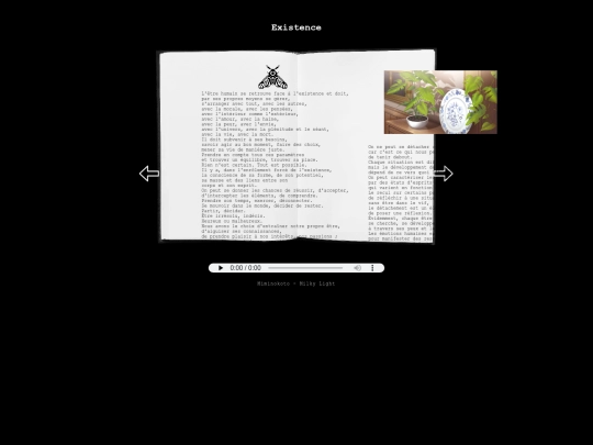diary-page/3 screenshot