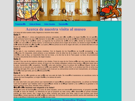 visita screenshot