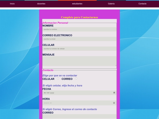 proyecto/contacto screenshot