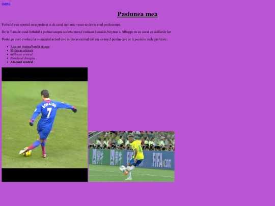 Pasiuneamea screenshot