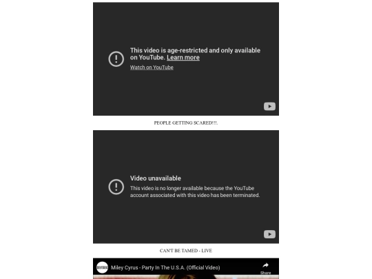 rooglevideos screenshot