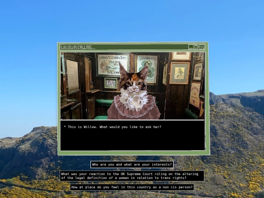 interviewwillow screenshot