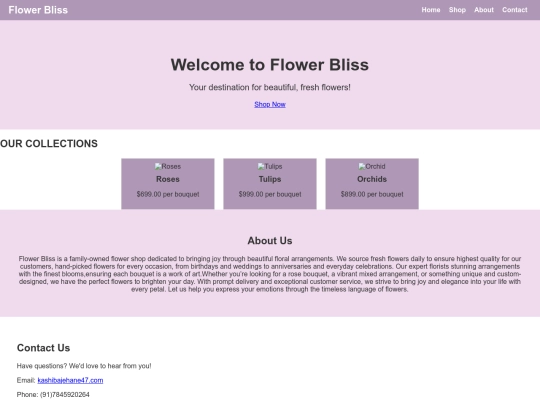 KashiPj2 screenshot