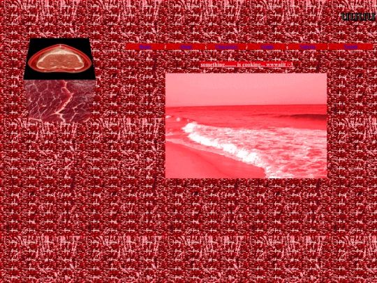 runtu screenshot
