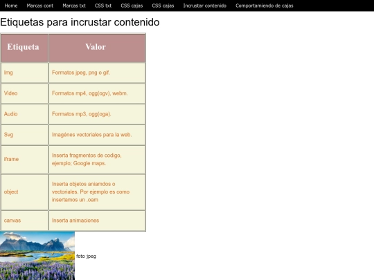 P06_incrust_contenido screenshot