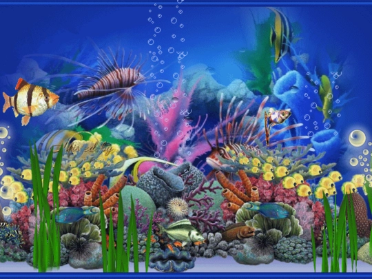 aquarium screenshot
