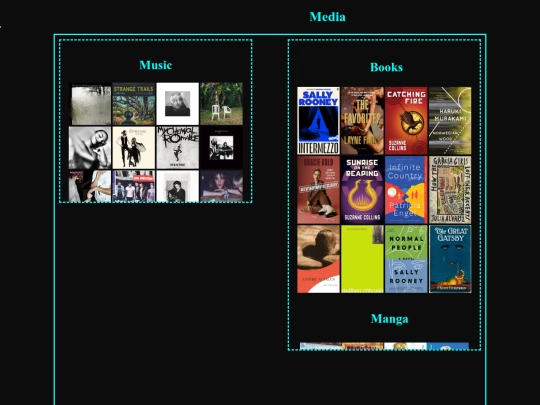 media screenshot
