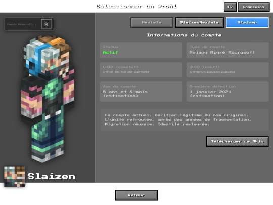 minecraft/profiles screenshot