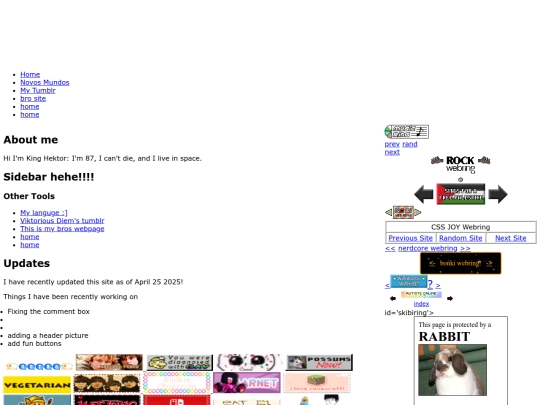 Webrings screenshot