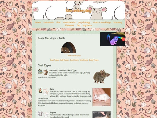 mousekeeping/coats screenshot