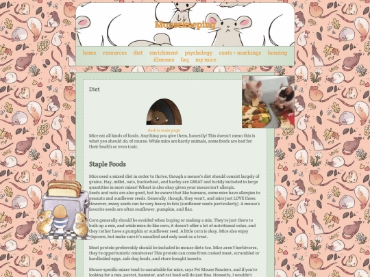 mousekeeping/diet screenshot