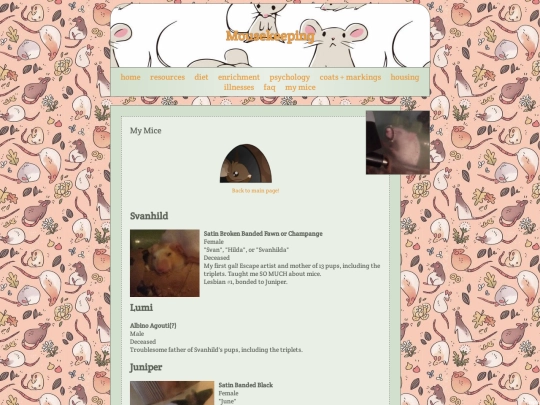 mousekeeping/mymice screenshot