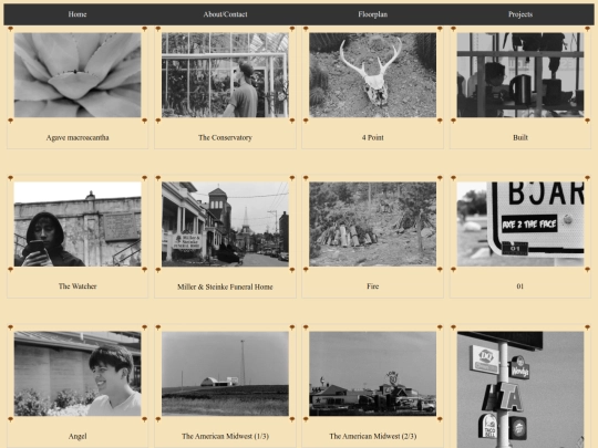 photo_gallery screenshot