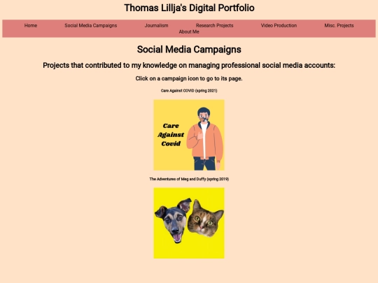 socialmediacampaigns screenshot